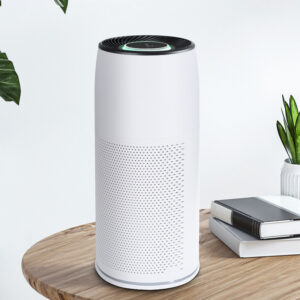 HCH luchtreiniger tegen allergieën met HEPA-filter en ionisator